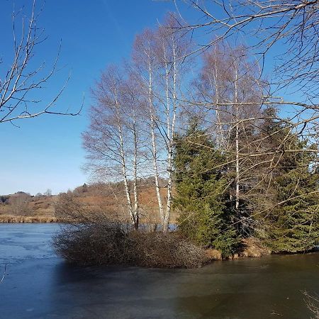 Fermette Typique Auvergnate Dans Son Ecrin D'Eau Et De Verdure Saint-Donat Ngoại thất bức ảnh