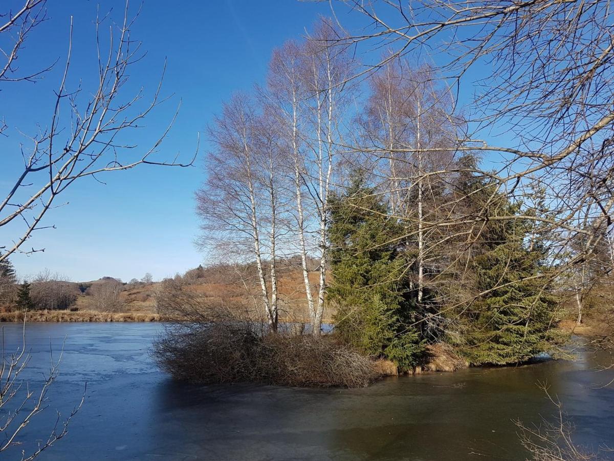 Fermette Typique Auvergnate Dans Son Ecrin D'Eau Et De Verdure Saint-Donat Ngoại thất bức ảnh